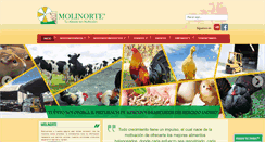 Desktop Screenshot of molinortesac.com