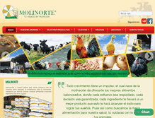 Tablet Screenshot of molinortesac.com